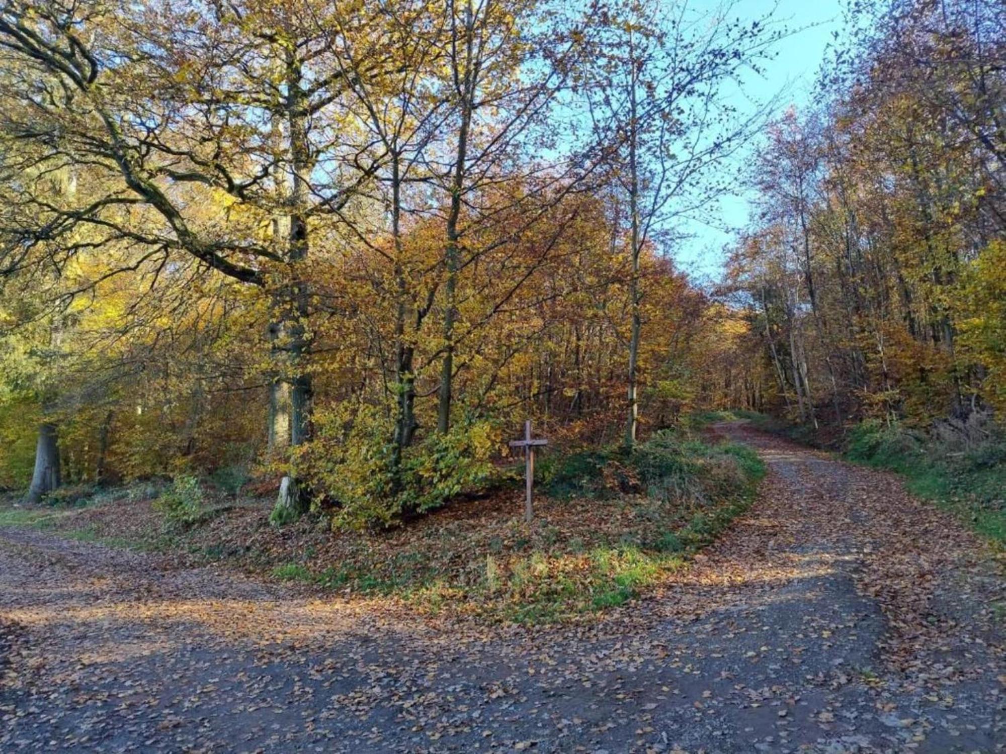 Apartment With Garden In A Wooded Setting Auw bei Prum Bagian luar foto